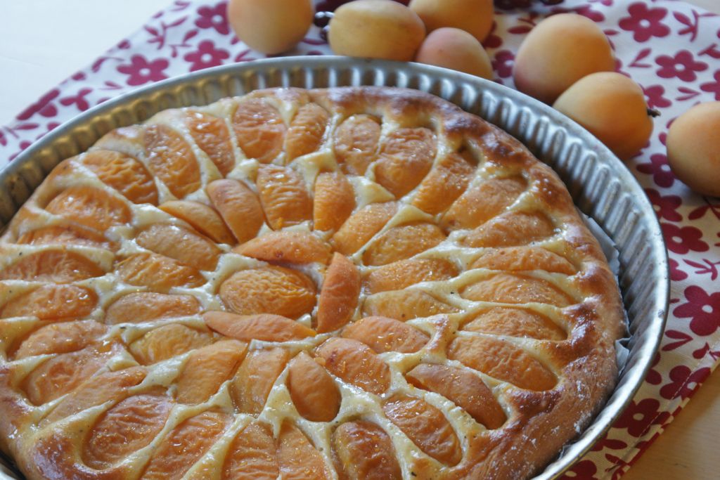 Tarte briochée aux abricots 3